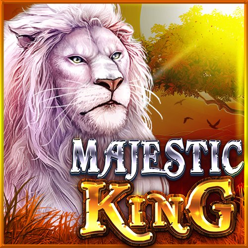 Jogo do foguetinho é confiável