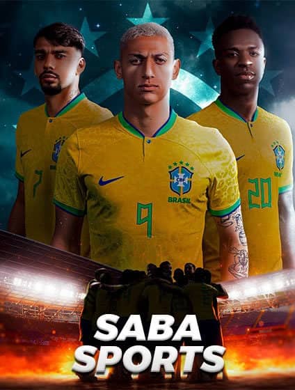 Jogo de dardos profissional