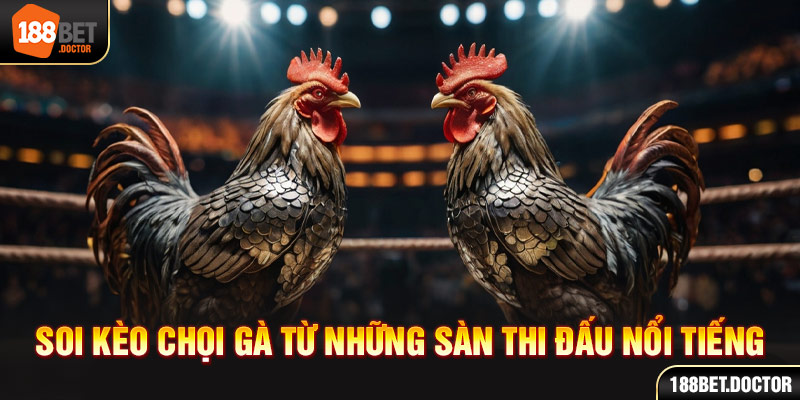 Joga fácil bet